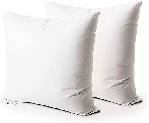 Foamily Throw Pillows Insert 18 x 18 Inches