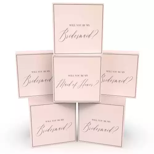 Bridesmaid Proposal Box Set of 6