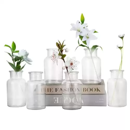 Set of 6 Glass Vases