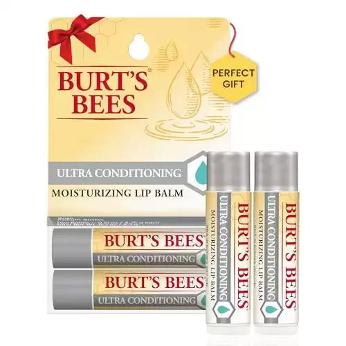 Burt's Bees Lip Balm Stocking Stuffers, Moisturizing Lip Care Christmas Gifts for All Day Hydration, Ultra Conditioning with Shea, Cocoa & Kokum Butter, 100% Natural (2-Pack)