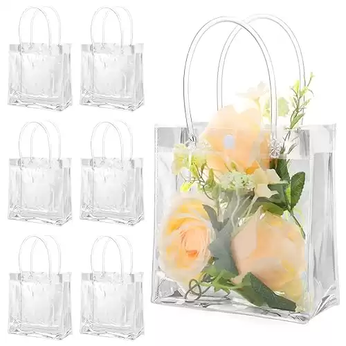 30 Pack Clear Gift Bags